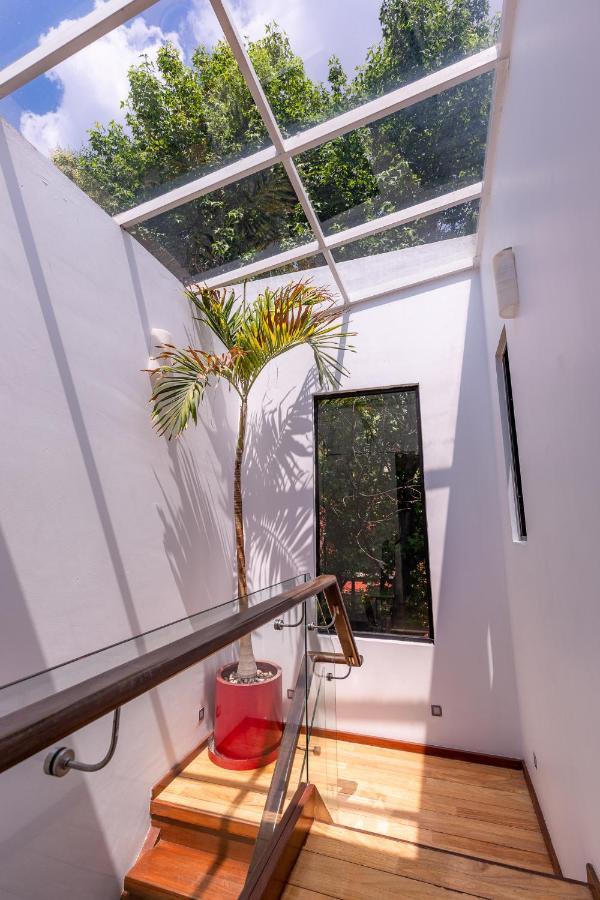 Casa Blanca In Coyoacan Mexico City Ngoại thất bức ảnh